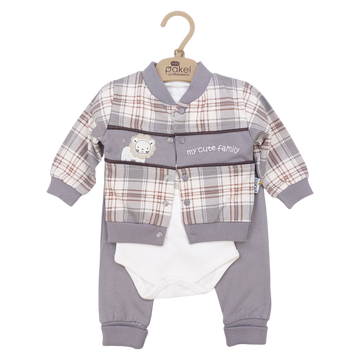 Baby Jungen Set, Aschgrau, Pakel 1120-231024