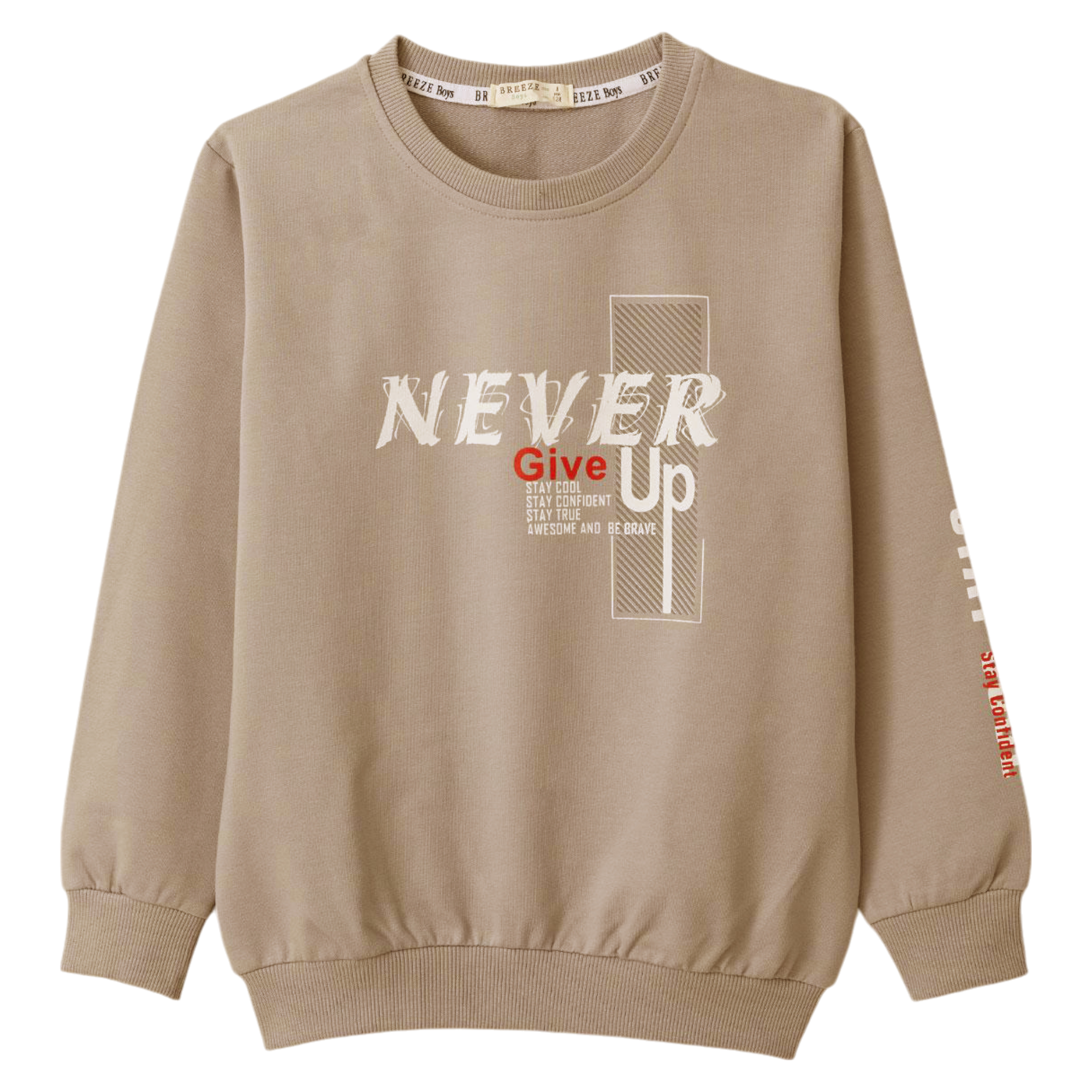 Dünnes beiges Jungen-Sweatshirt Breeze 20814-161024