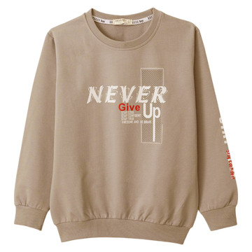 Dünnes beiges Jungen-Sweatshirt Breeze 20814-161024