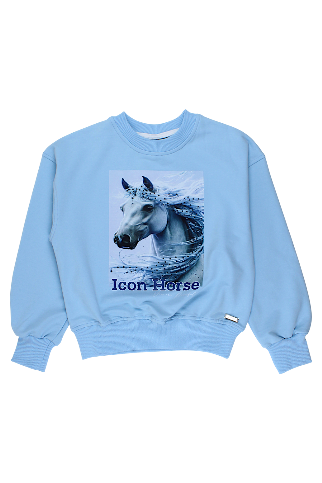 Blaues Mädchen-Sweatshirt mit Pferdemotiv La loca 9087-28825