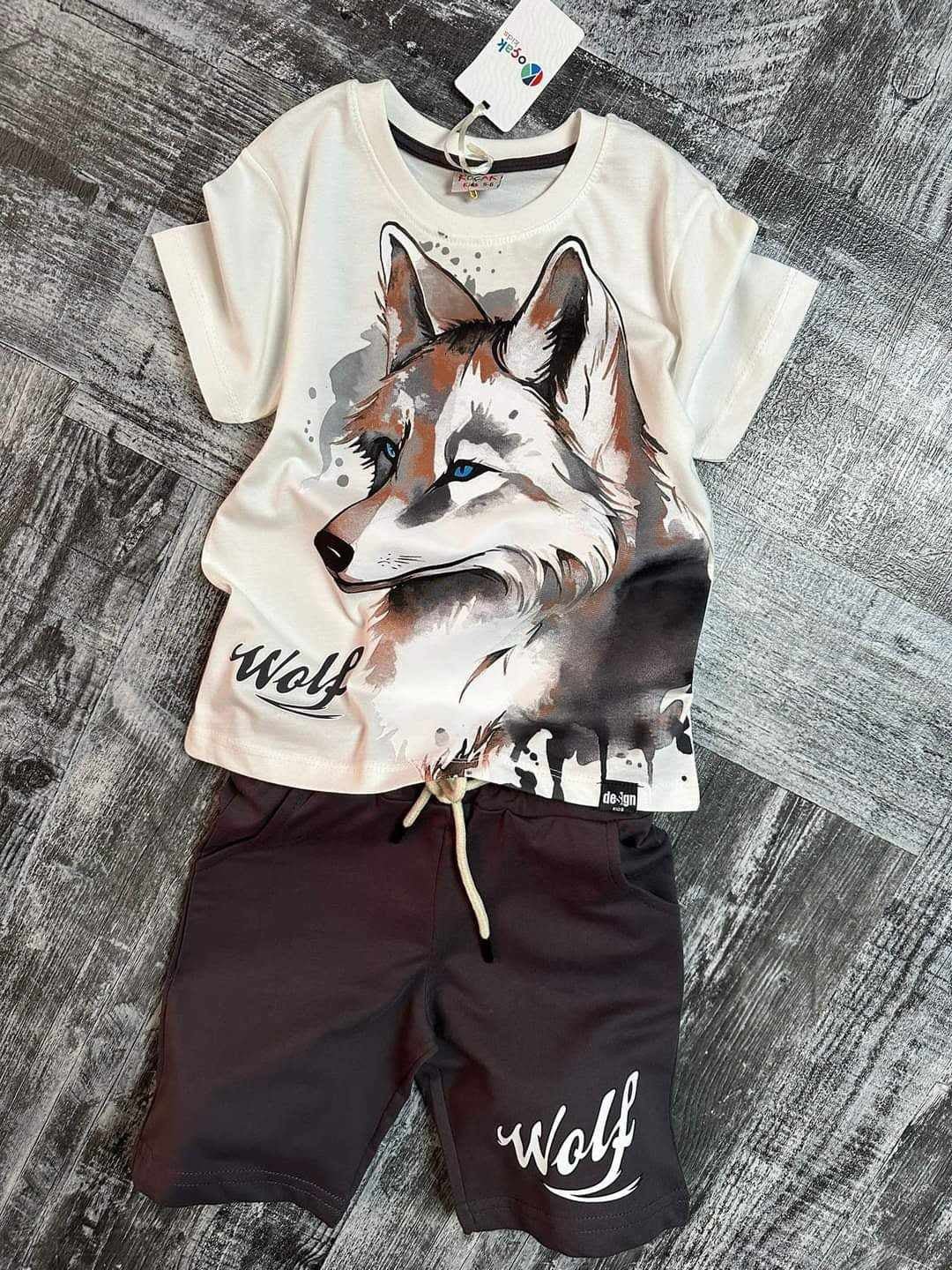 Komplet 2Cz. T-Shirt Szorty Wilk chłopak grafit 1059-14524 GKMOC -  - #tag1# - #tag2# - #tag3# - #tag4#