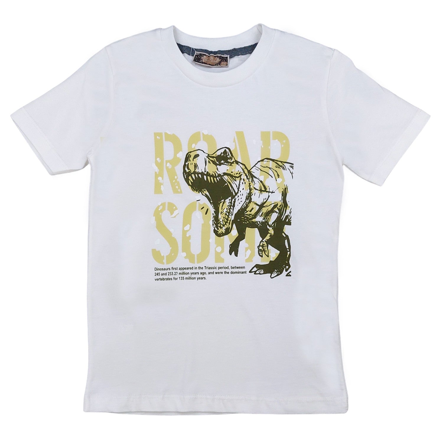 T-Shirt Roar Some Junge weiß 509-26424 GKMOC