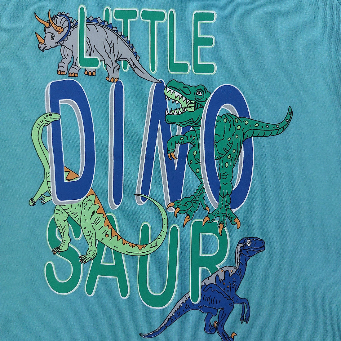 T-Shirt Dinosaurier Junge grün 18615-26424 GKMOC
