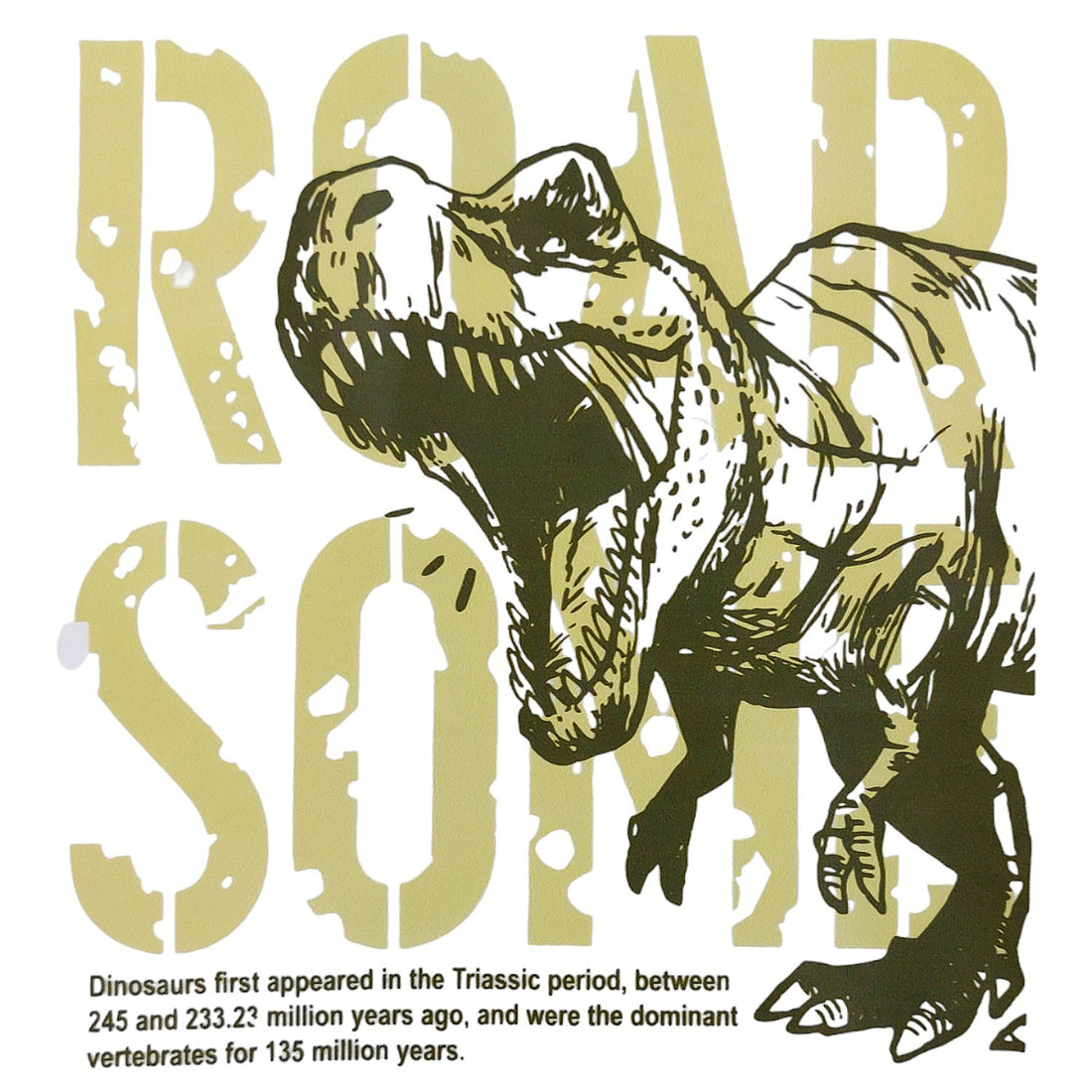 T-Shirt Roar Some Junge weiß 509-26424 GKMOC