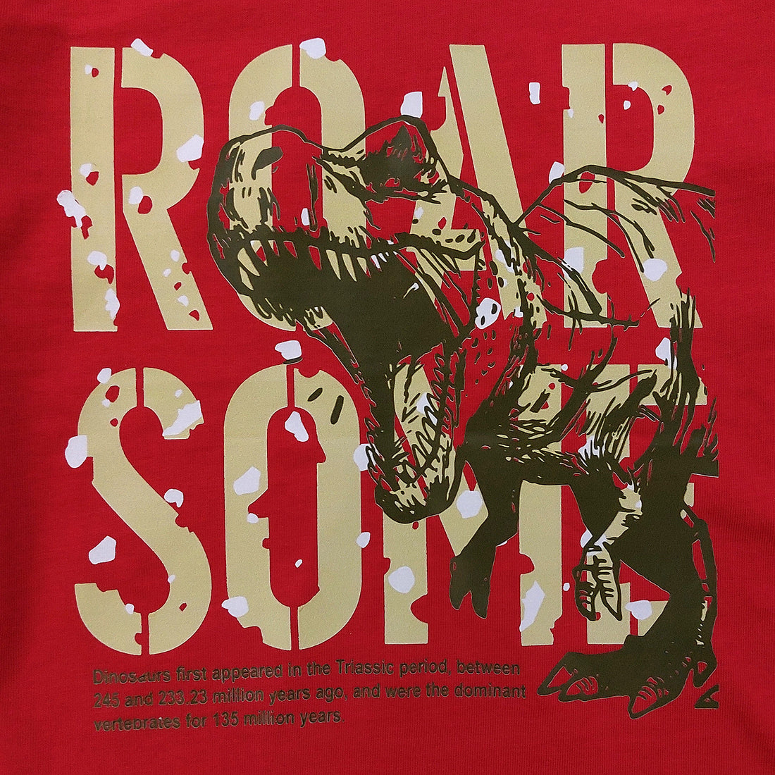 T-Shirt Roar Some Junge rot 509-9424 GKMOC