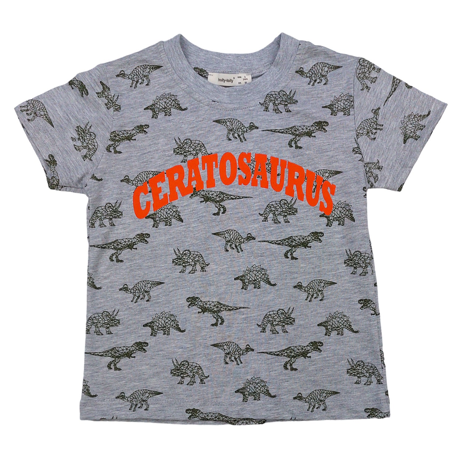 Dinosaurier T-Shirt Junge Grau 1429-26424 GKMOC